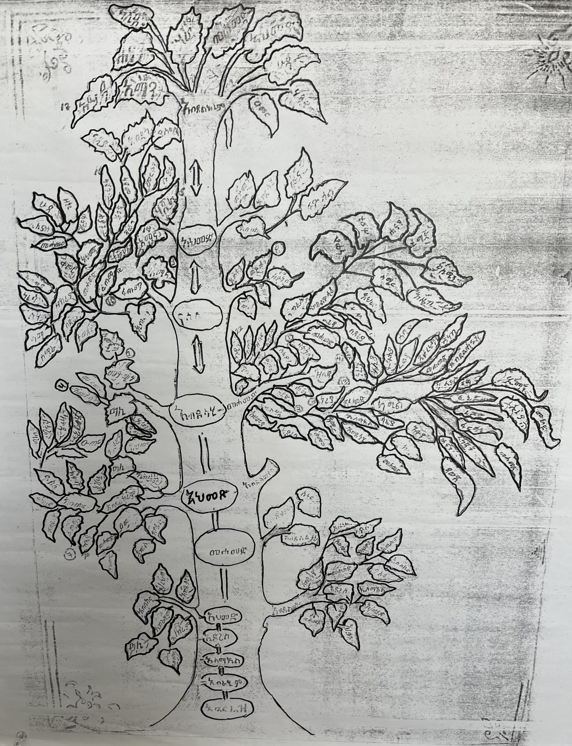 Family Tree by Abdulkarim Ahmed